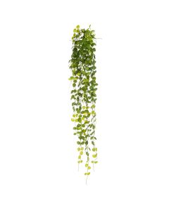 UV Trailing Drymaria - 100cm