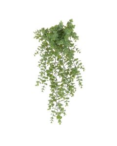 UV Trailing Eucalyptus 61cm