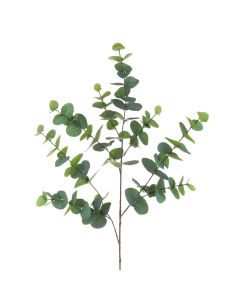 Eucalyptus Supreme 116cm