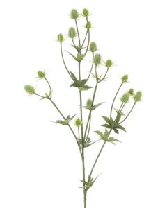 Thistle Spray Green 81cm
