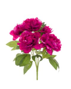 Peony Bush Beauty - 47cm