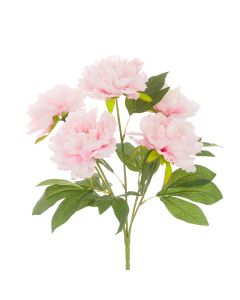 Peony Bush Pink - 47cm