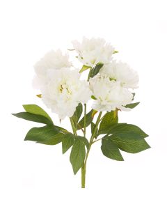 Peony Bush White - 47cm
