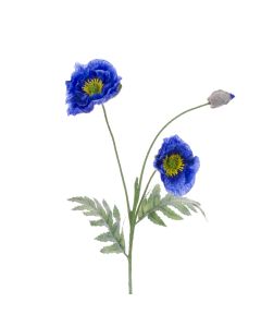 Himalayan Poppy Spray 74cm Blue