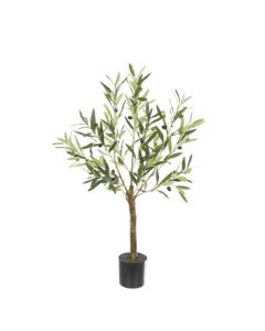 Olive Tree In Pot 90cm