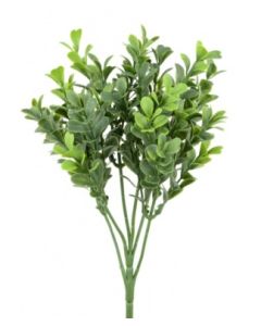 New Boxwood Pick 25cm UV