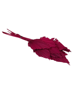 Palm Spear - Cerise  Pink x 10pcs