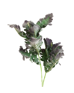 74cm Dusty Miller Spray Green/Purple