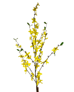 100cm Forsythia Spray Yellow