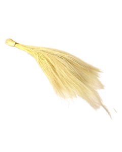 Preserved Barba White (App 100g)