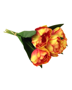 Double Tulip Bundle 40cm Peach