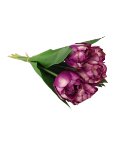 Double Tulip Bundle 40cm Purple
