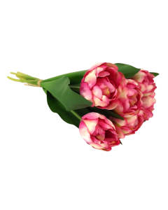 Double Tulip Bundle 40cm Pink