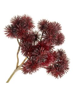 Echinops Bush Burgundy 40cm