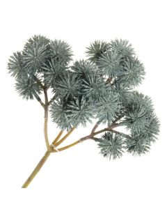 Echinops Bush Teal/Green 40cm