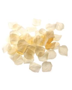 Bulk Rose Petals - Cream/Ivory x 1,000