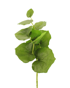 75cm Large Begonia Leaf Green