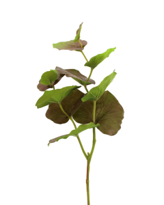 75cm Large Begonia Leaf Brown