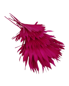 Sun Palm Hot Pink x 6pcs