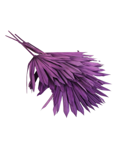 Sun Palm Lilac x 6pcs
