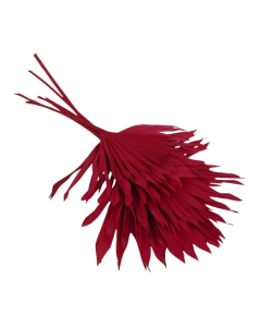 Sun Palm Red x 6pcs