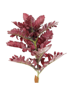 42cm Dusty Miller Pick Burgundy