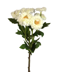 56cm English Daisy Spray Cream
