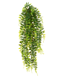 UV Boston Fern Bush Trail 68cm