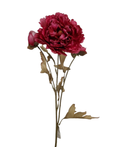 Vintage Oriental Peony Spray Fuchsia