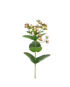 Hypericum 72cm Pink