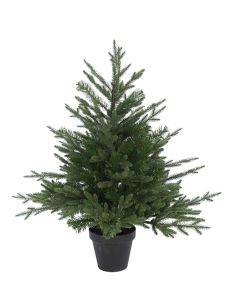 Newhaven Pine Potted 3'