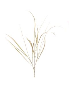 Sparkle Grass Spray 107cm Gold