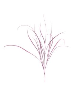 Sparkle Grass Spray 107cm Dark Pink