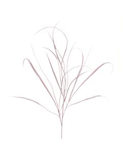 Sparkle Grass Spray 107cm Light Pink