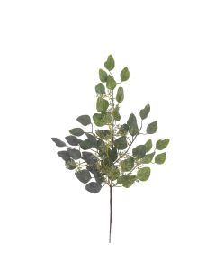 Gleethorpe Eucalyptus Spray 60cm