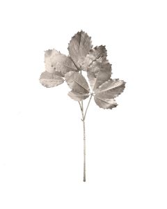89cm Painted Cryptotaenia Japonica Spray Silver