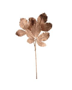 89cm Painted Cryptotaenia Japonica Spray Rose Gold