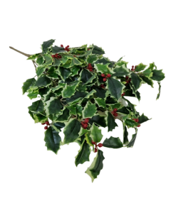 Real Touch Holly Bush - Variegated (50cm long)