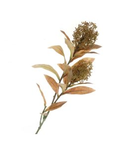 Skimmia Spray - Green/Yellow (72cm long)