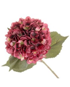 Single Hydrangea - Burgundy (19cm diameter, 82cm long)