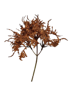 Limonium Bush Cream (45cm) Orange/Brown