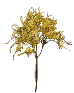 Limonium Bush Cream (45cm) Yellow