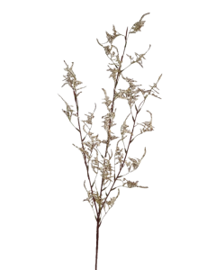 Limonium Spray (110cm) Cream