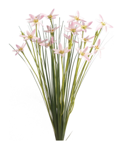 Star Flower W/Grass 45cm Light Pink