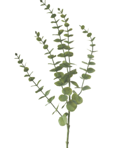 Eucalyptus Spray Plastic 75cm