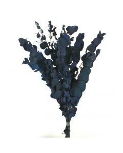 Preserved Vintage Spiral Eucalyptus - Vintage Blue