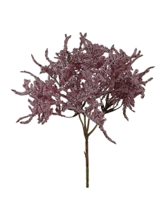 Limonium Bush (45cm) Pink