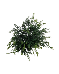 Cushion Bush - Green (25cm Long)