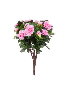 Azalea Bush - 36cm Pink