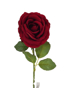 Single Red Velvet Rose Stem (66cm)